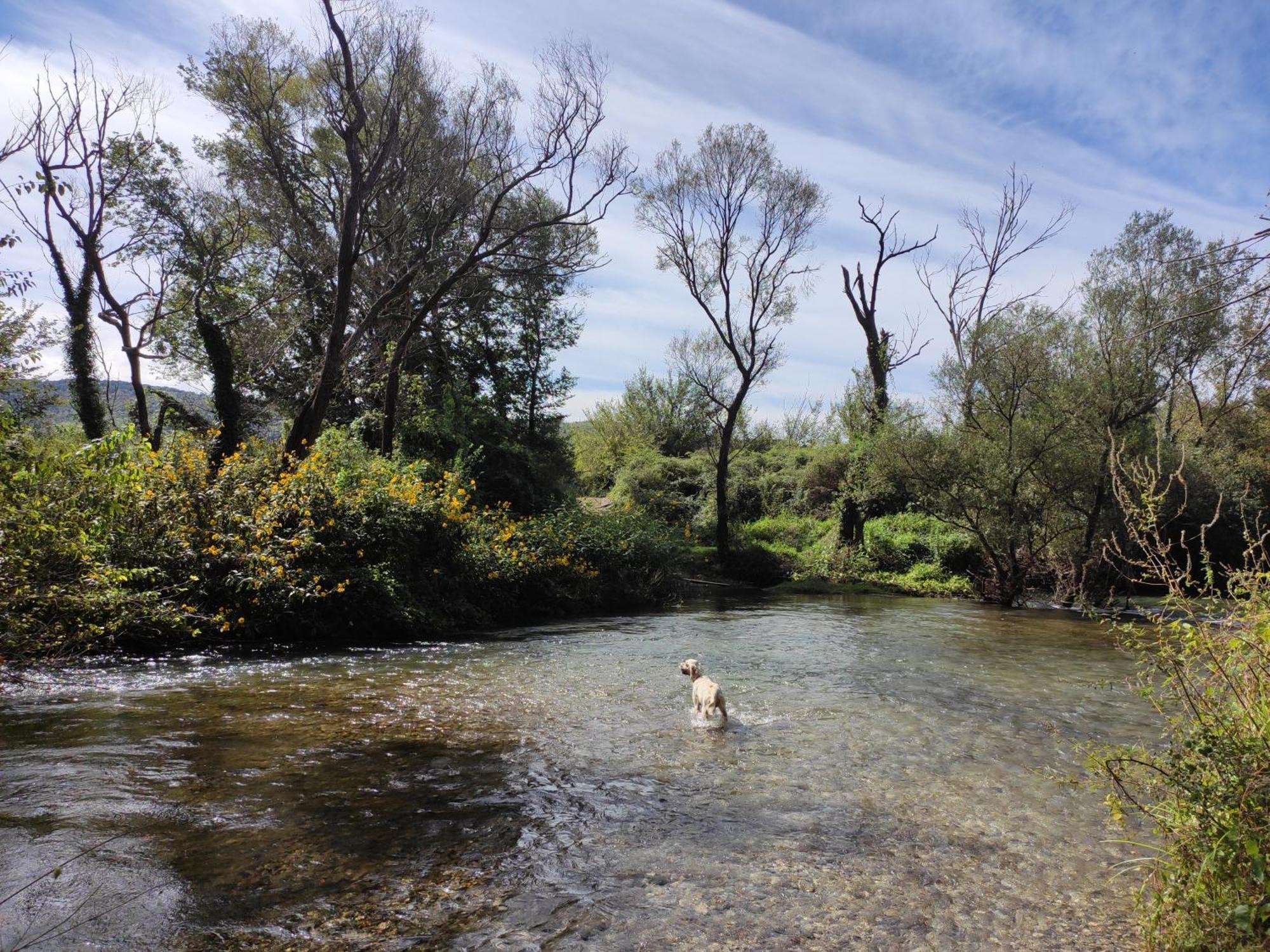 Country House Uros In Nature With Pool Lovorno Экстерьер фото